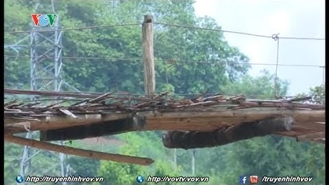 Nhiều cầu treo xuống cấp, hư hỏng ở Sơn La | VOVTV