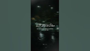 سورة الانعام || الاية 125 || القارئ ياسر الدوسري ❤️