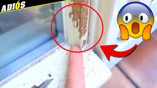 Stop Using Water-Based Paint on Your Window Frames! (Do This Instead)
