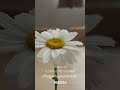 💌 # Reggeli gondolatok 2025-07-05🕊️Evangélium Mt 9,14-17
