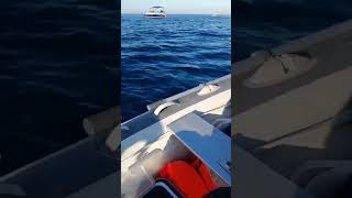 İGNEYE TAKACAKSIN / BALIĞI KAPACAKSIN ADRENALİN TAVAN YAPTI #fishing #fish #shortvideo #keşfet