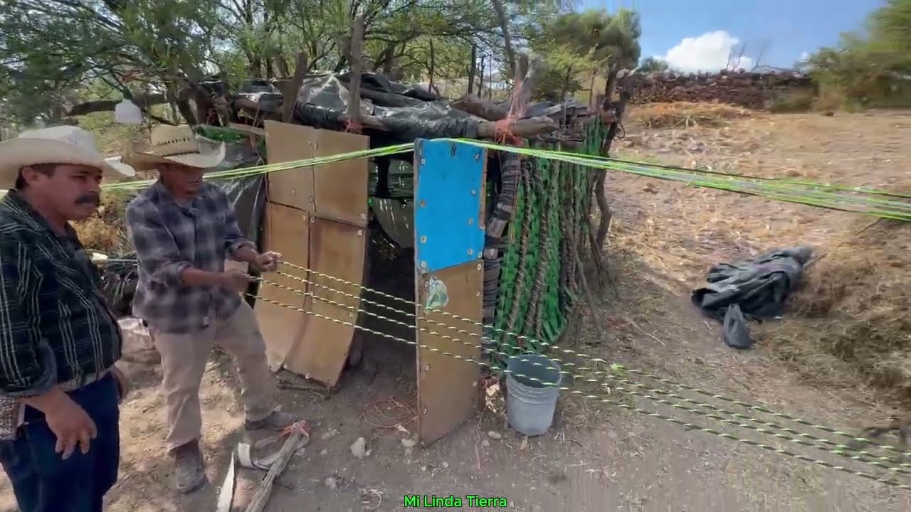 A PESAR DE QUE A MI ME MORDIO UNA VIVORA AUN SIGO ASIENDO LO QUE A MI ME GUSTA ELABORAR SOGAS