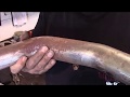 Harley Davidson resurrection from the dead Part 3