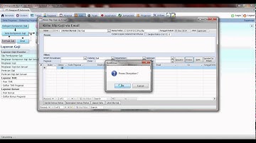 30  Slip Gaji Via Email