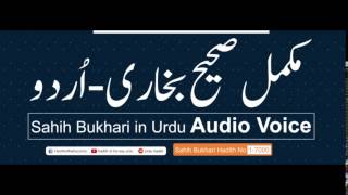 Sahih Bukhari Hadith No 370
