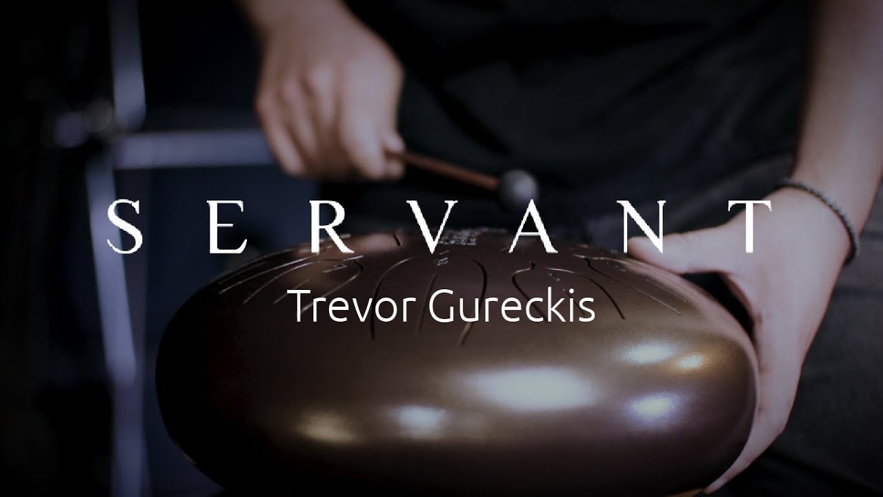 Trevor Gureckis - Servant Main Theme (Cover) #ServantSerie auf YouTube ansehen Trevor Gureckis - Servant Main Theme (Cover) #ServantSerie auf YouTube ansehen
