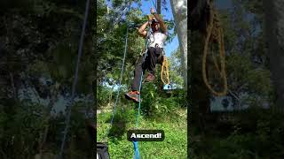 SRT ascending the access line for tree work