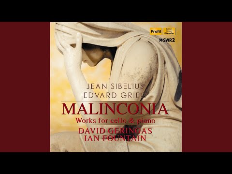 Peer Gynt, Op. 23 (arr. D. Geringas and G. Goltermann for cello and piano) : Act IV: Anitra's...