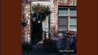 burbank - sorry, i like you too (1 Hour Loop)