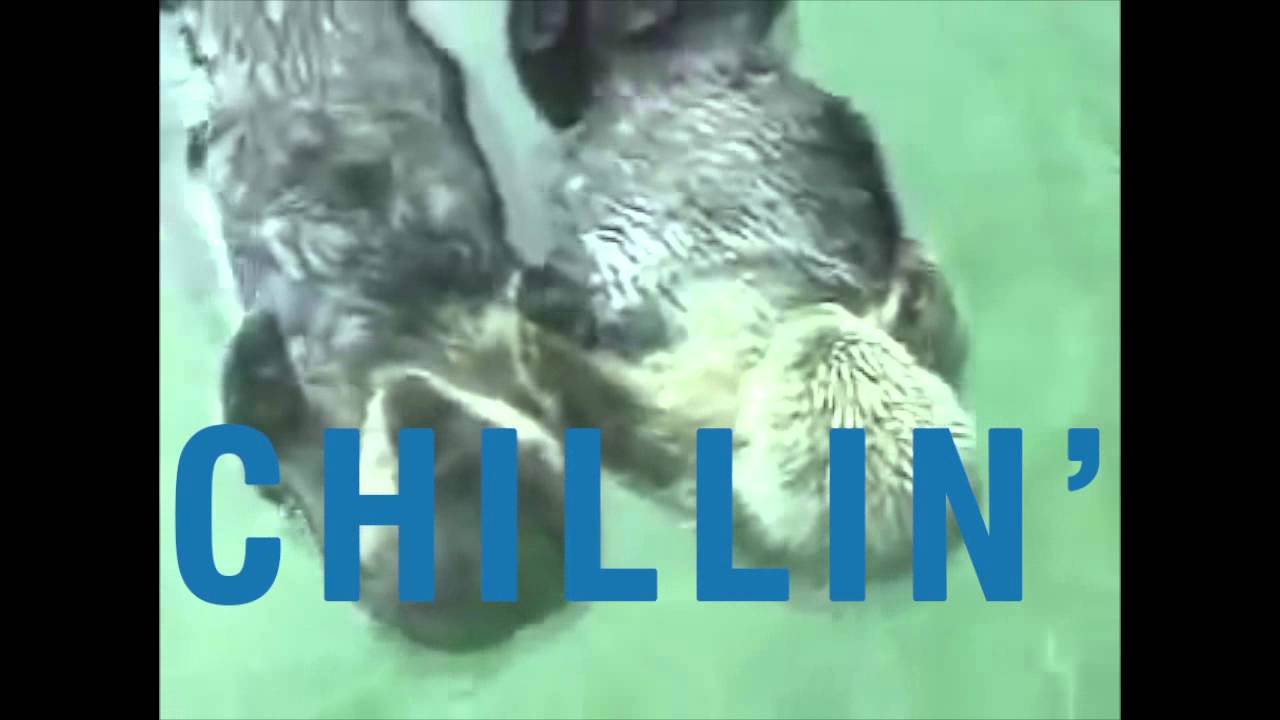 Domino's TV advert - TogetherTuesdays