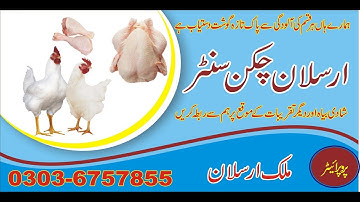 Professional Business Card Designing Ideas - CorelDraw X8 in Hindi/Urdu