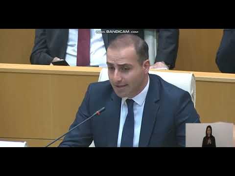 ცოტნე ზურაბიანის შეკითხვა გიორგი გახარიას