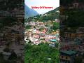 The Ultimate Himalayan Bloom – Valley of Flowers Adventure