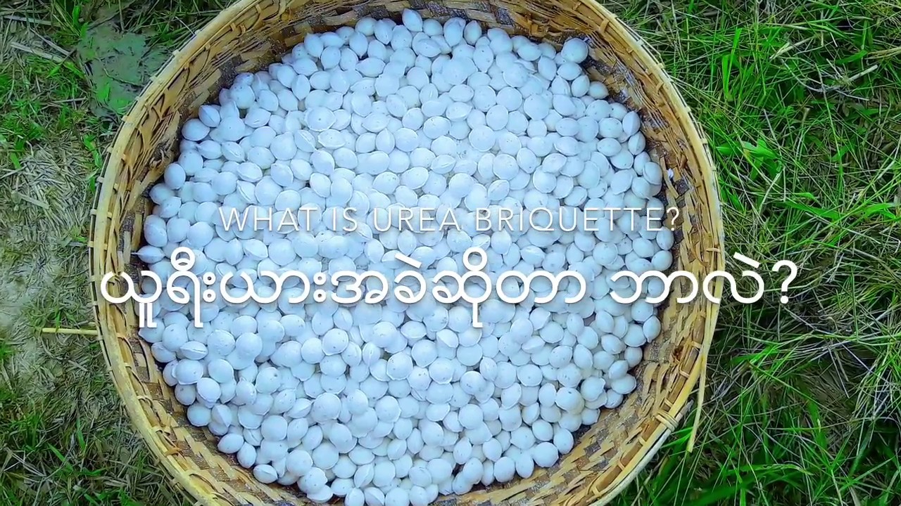 What is UDP? ယူရီးယားအခဲ ေျမျမွဳပ္အသံုးျပဳနည္း