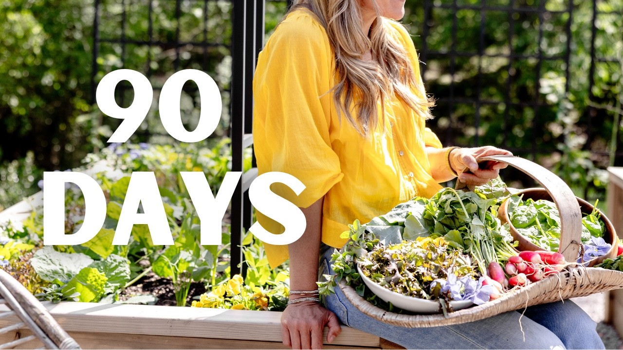Top 3 Easy to Grow Vegetables Seed to Harvest