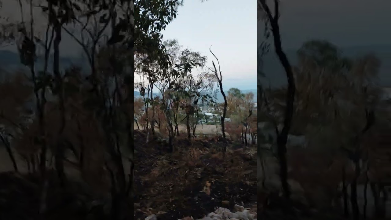 Walking down Castle Hill