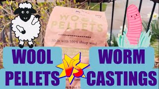 Wool pellets vs worm castings! Which one will my seedlings prefer