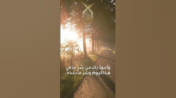 أدعية من أذكار الصباح  بصوت القارئ محمد رشيد كردي قران كريم Quran #quran #قرآن