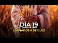 DÍA 19 EL CONTEO DEL OMER | LLAMADOS A SER LUZ