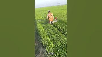Grass Cutting Machine – Good Tools Can Increase Work Efficiency