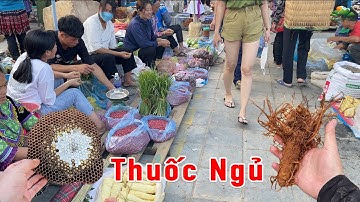 Mộc mạc chợ phiên Tây Bắc bán nhiều Thảo Dược Và Đặc Sản mới lạ | Tôi Người Vùng Cao