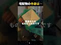 父は息子に会うことができるようになり、涙しました…