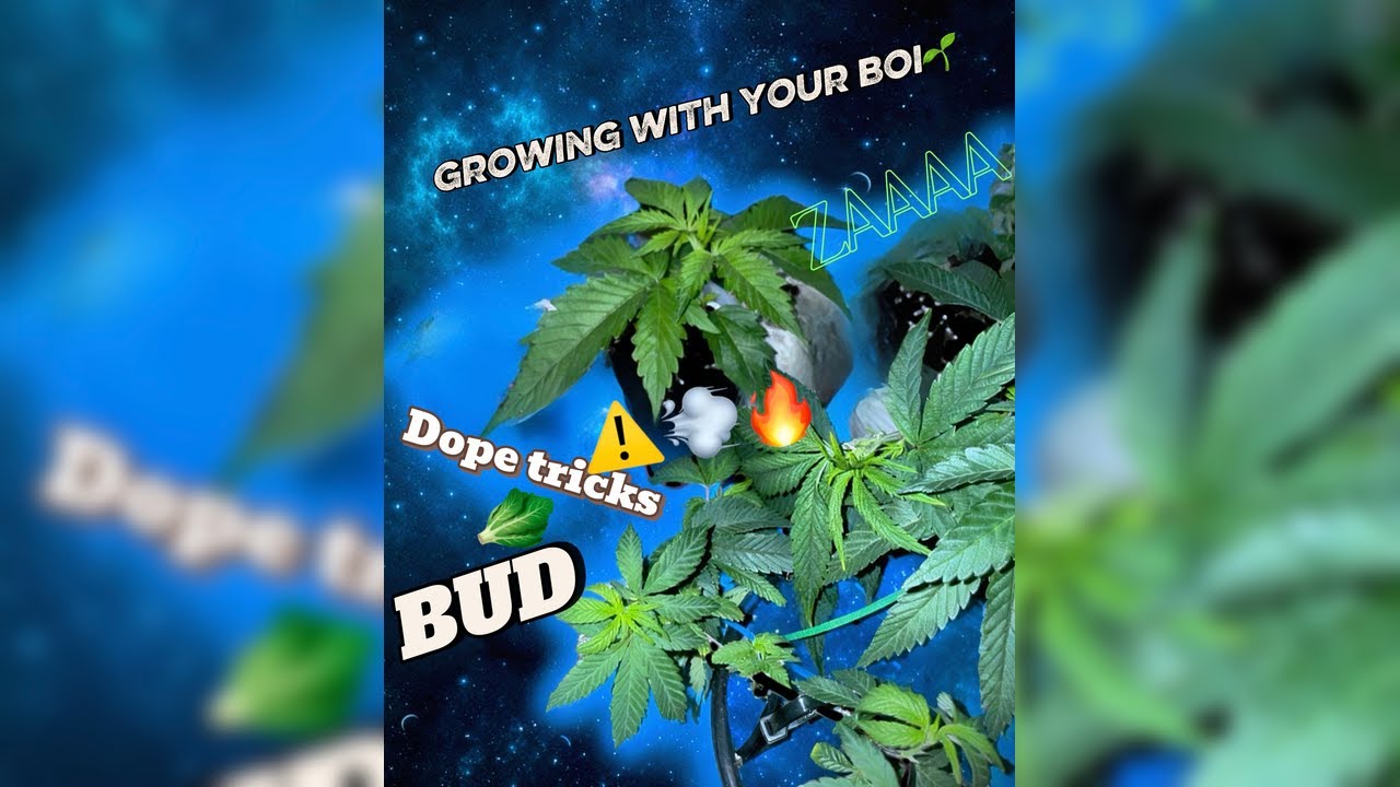 DIY GROWING NEW CROPS EP.1 - YouTube