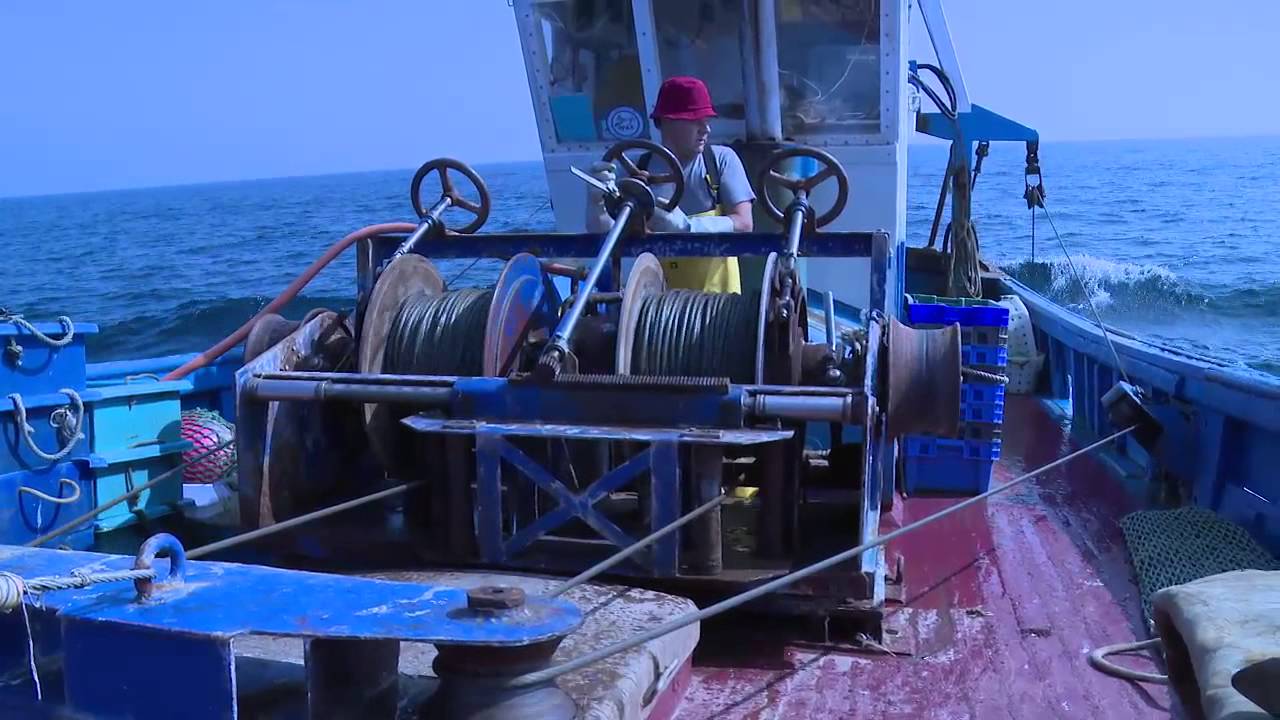 La criée - Pêche artisanal