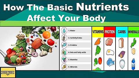 How The Basic Nutrients Affects Your Body | Function of 6 Basic Nutrients | Food Tech Speaks |