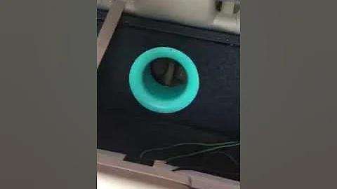 Walk around 2 zv5 12s 4th order ( Trunk build)