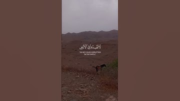 تلاوة هادئة 🎙️ الشيخ ريان المحيسني 🎧 #اكسبلور #المصحف #راحة_نفسية