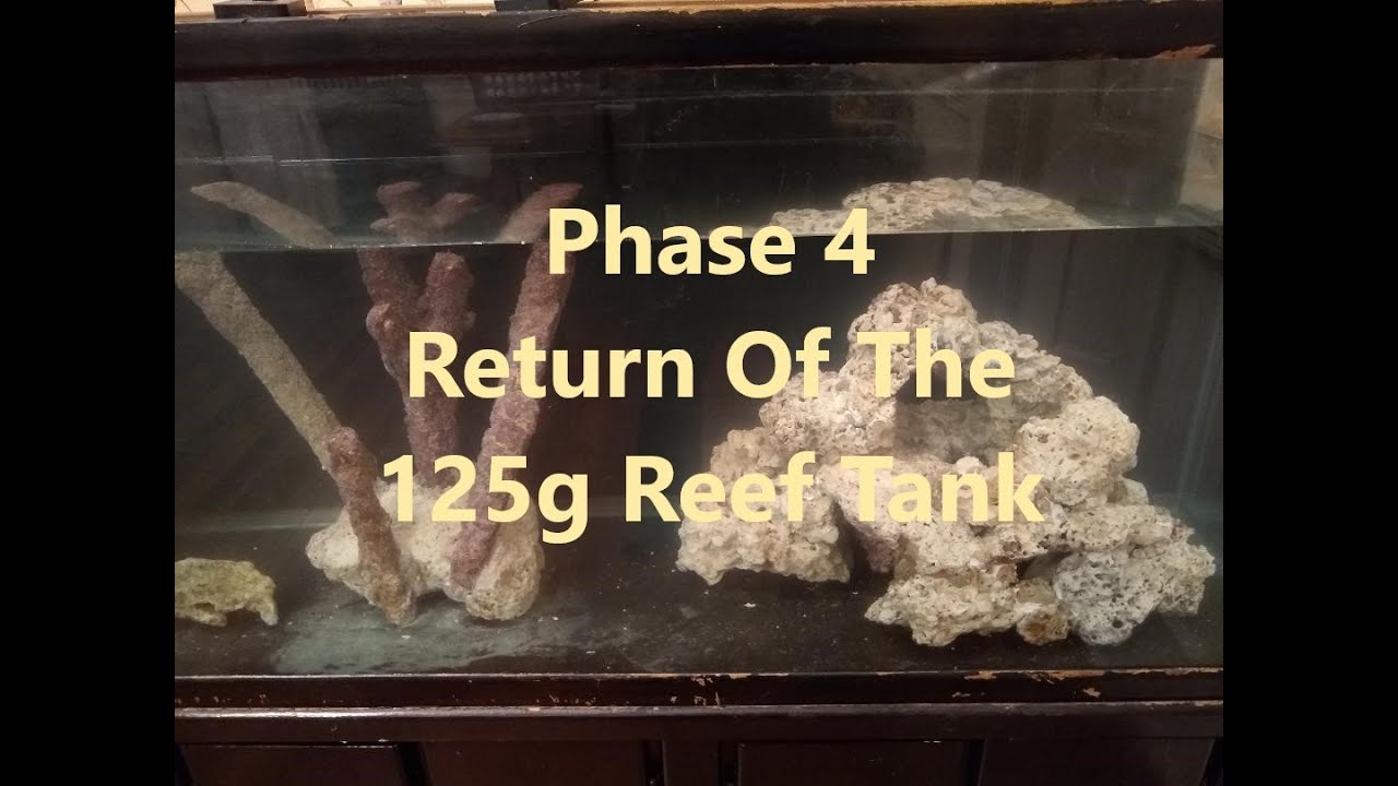 Filling The Aquarium With Water YouTube