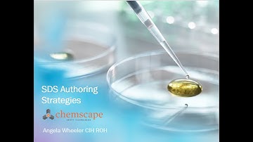 SDS Authoring Strategies