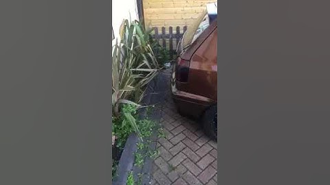 Emu ecu master vr6 turbo launch control