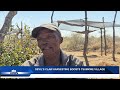 DEVIL'S CLAW HARVEST BOOSTS LIVELIHOODS - nbc
