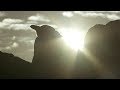 Penguin Protects Egg From African Sun | Africa | BBC Earth