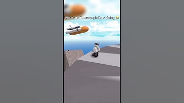 Exploiters in Natural Disaster Survival be like 😂