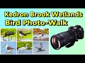 Kedron Brook Wetlands Bird Photo-Walk  1st May 2022