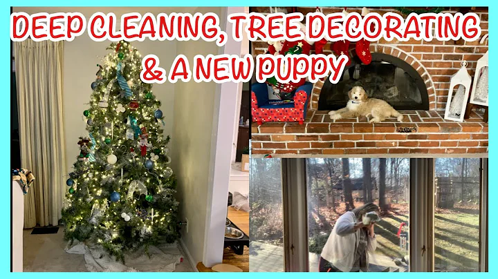 DEEP CLEANING, DECORATING THE CHRISTMAS TREE & A N...