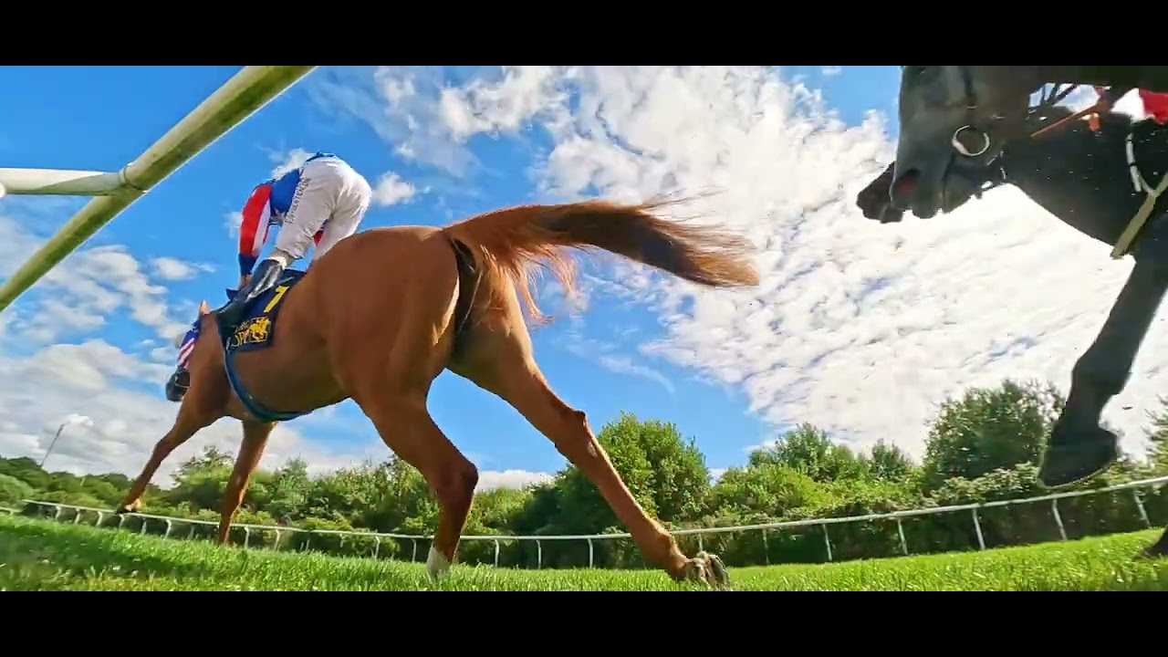 Göteborg Galopp, 27.07.2022, Lopp 6, 2400 gr KOPPARMÄRRALÖPNING