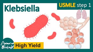 Klebsiella | klebsiella pneumoniae | clinical presentation, risk factors and treatment of Klebsiella screenshot 5