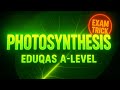 Photosynthesis — Eduqas A-Level | The Ultimate Exam Trick for Top Marks