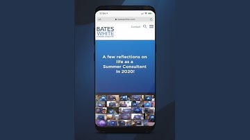 Bates White Summer Consultant Experience 2020