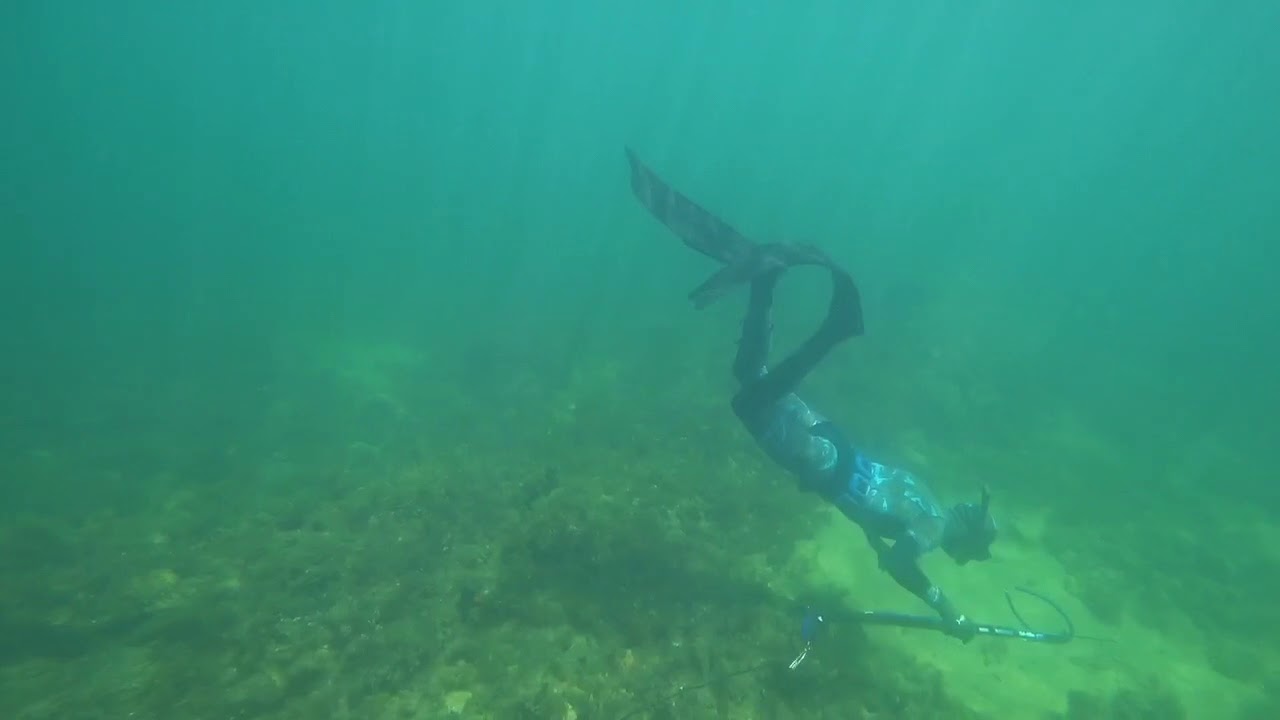 408E8381 F80B 4657 919C 4534CFD9AB87