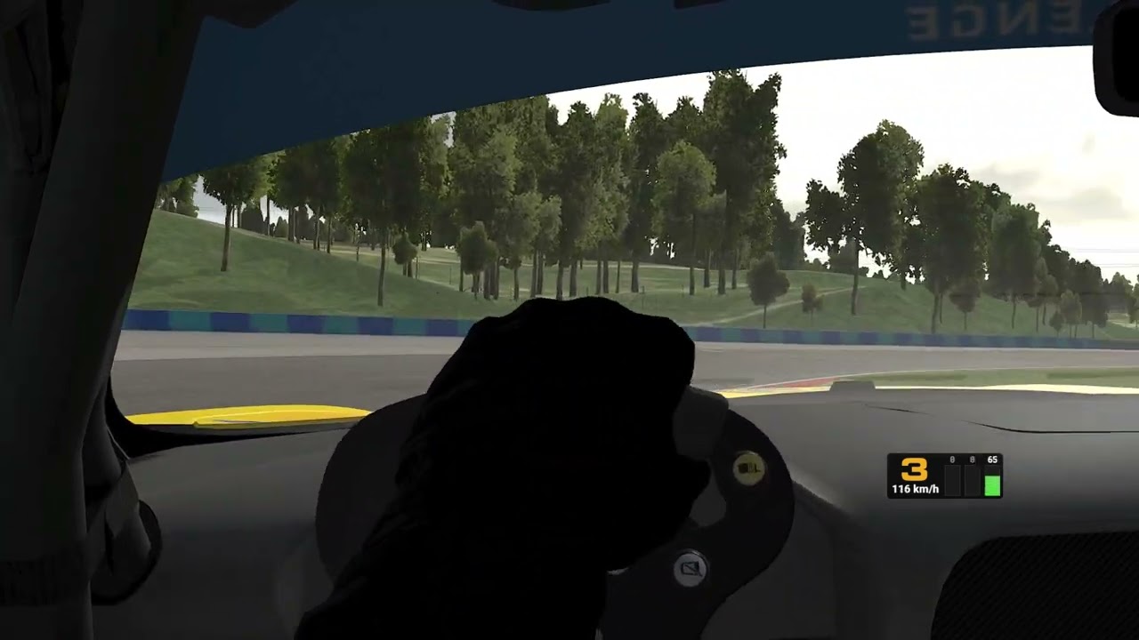 iRacing Onboard Lap: Mercedes AMG GT4 at Hungaroring 24S4 Falken Tyre Challenge