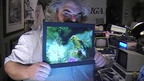 Commodore - Episode 320 - 1581 Testing TPUG Historical Chatter - David Bradley - 1541 SID Music PET