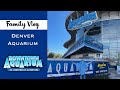 Our Little Stingray visits the Denver Aquarium - Full Tour &amp; Dinner Under the Sea