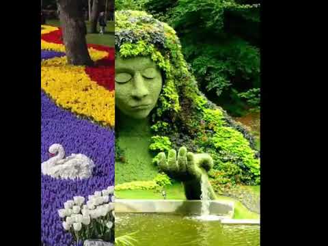 انشودة اخير خلق الله طة روعه