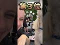 イッヌの動画見てニヤけたら負けｗｗｗ　#2ch #2ch動物スレ #動物 #犬 #猫 #shorts