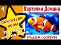 Карточки Домана Морские обитатели часть 1